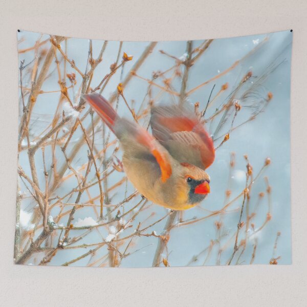 Item preview, Northern Cardinal Flying Photograph designed and sold by alpendesigns.