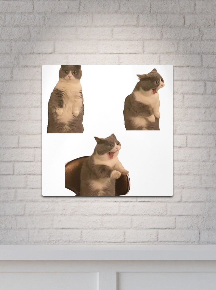 ANGRY CAT MEME CAT Canvas Print for Sale by ANIMEBESTSELLER