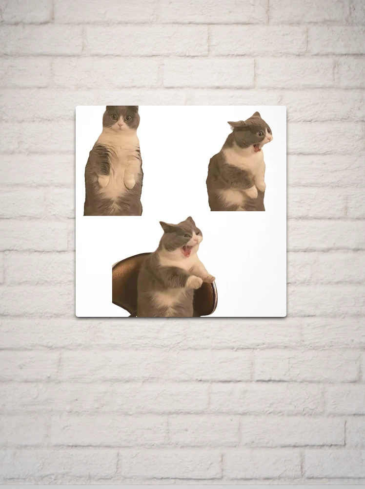 Cute angry cat' Poster, picture, metal print, paint by Evgenuy Merkushov