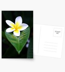 Caught Postcards