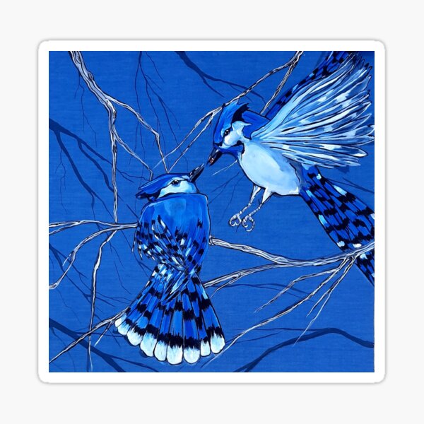 "Blue jay " Sticker for Sale by Nayanaart Redbubble
