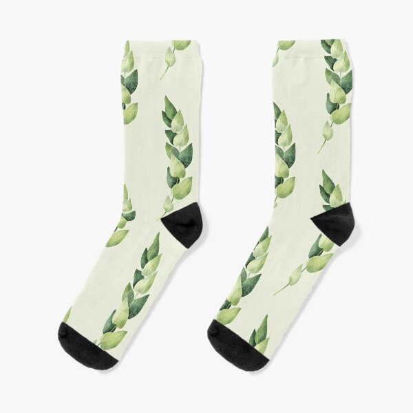 Discover Green eucalyptus branch botanical illustration  | Socks