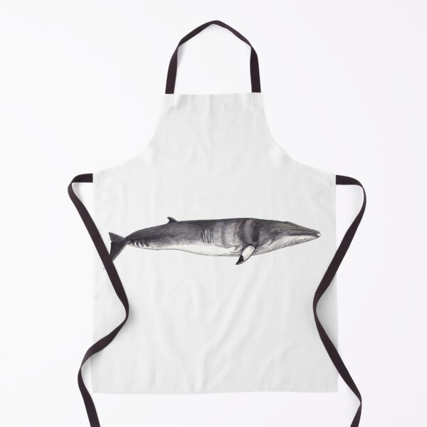 Item preview, Minke whale (Balaenoptera acutorostrata) designed and sold by chloeyzoard.