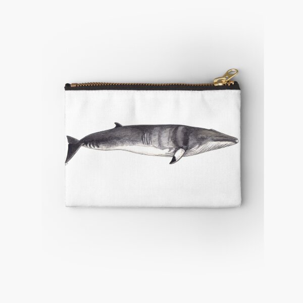 Item preview, Minke whale (Balaenoptera acutorostrata) designed and sold by chloeyzoard.