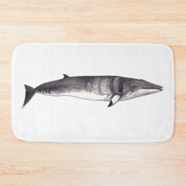 Item preview, Minke whale (Balaenoptera acutorostrata) designed and sold by chloeyzoard.