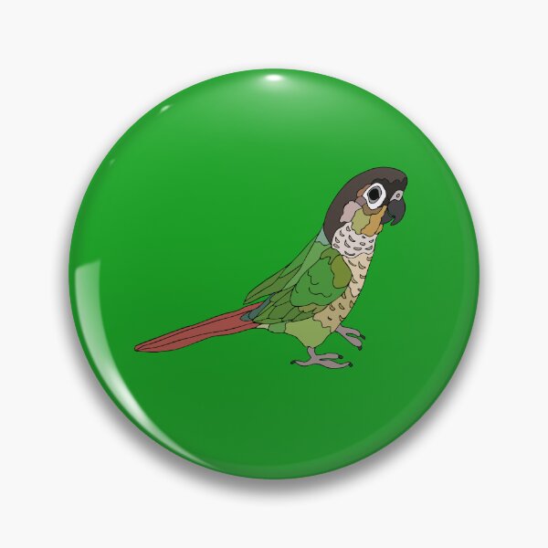 Item preview, Green-Cheeked Conure designed and sold by nolessjess.