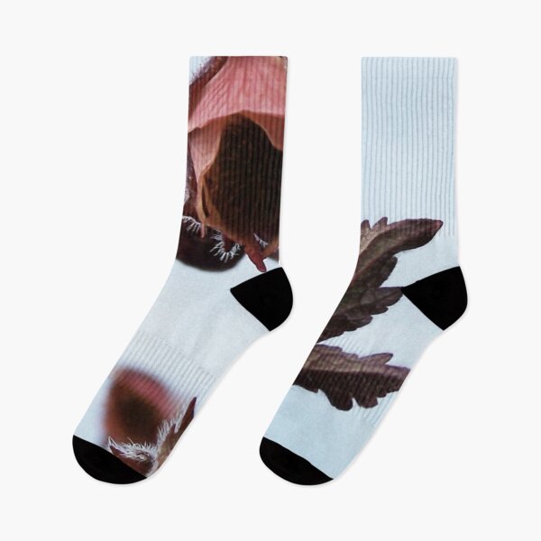 Item preview, Water avens designed and sold by Vidarleikur.