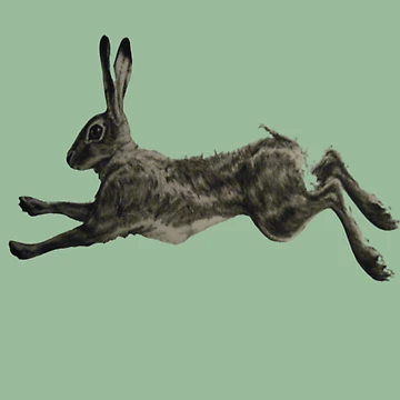 Artwork thumbnail, Running Rabbit by Lar888