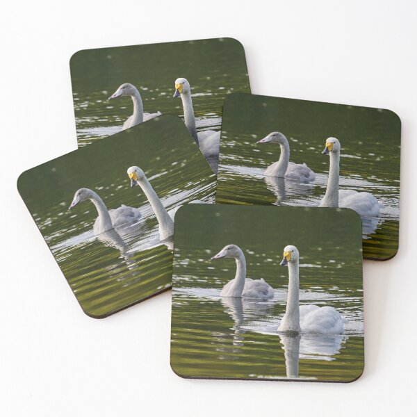 Item preview, Whooper swan  on green water designed and sold by Jouko Lehto Photography.