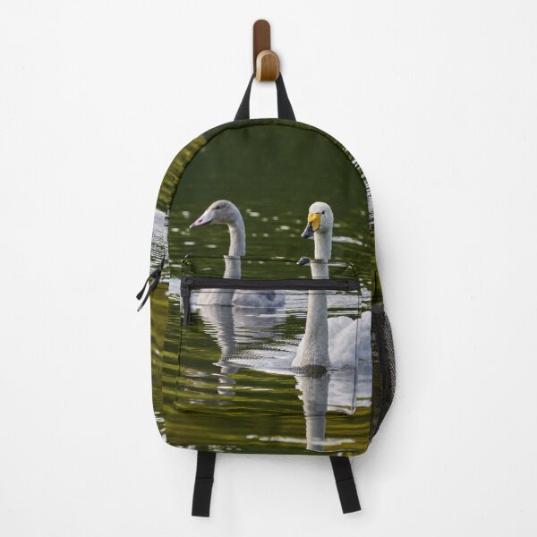 Item preview, Whooper swan on green water designed and sold by Jouko Lehto Photography.