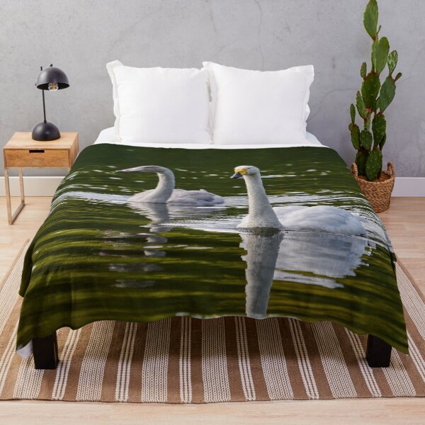 Item preview, Whooper swan  on green water designed and sold by Jouko Lehto Photography.