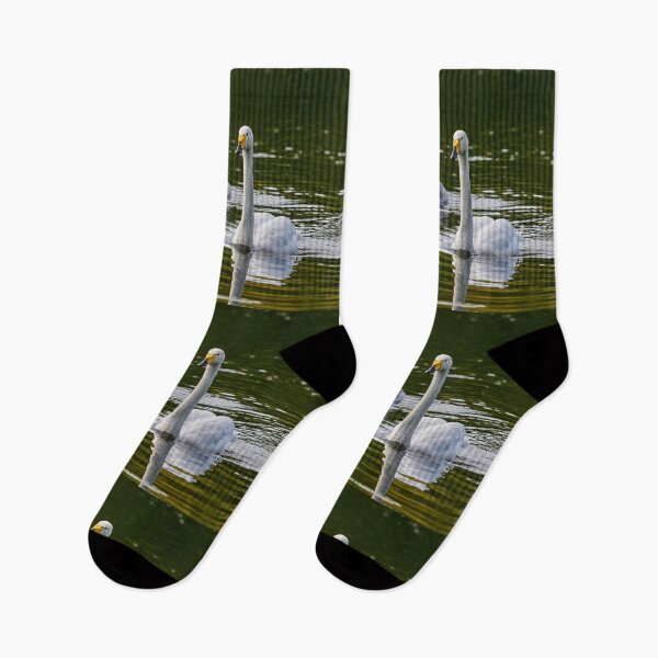 Item preview, Whooper swan  on green water designed and sold by Jouko Lehto Photography.