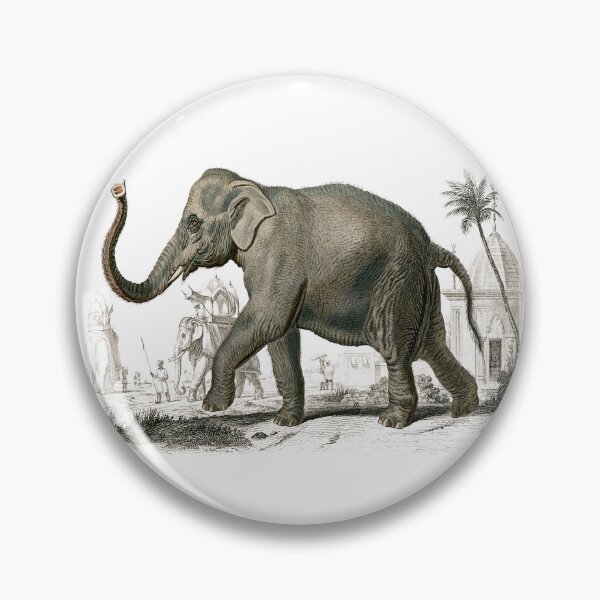 Item preview, Asiatic Elephant By Charles Dessalines D' Orbigny (1806-1876). designed and sold by SidhuKeet1.
