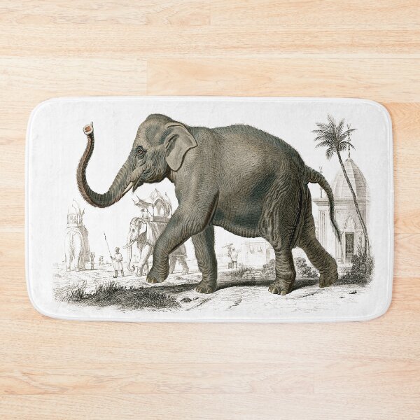 Item preview, Asiatic Elephant By Charles Dessalines D' Orbigny (1806-1876). designed and sold by SidhuKeet1.