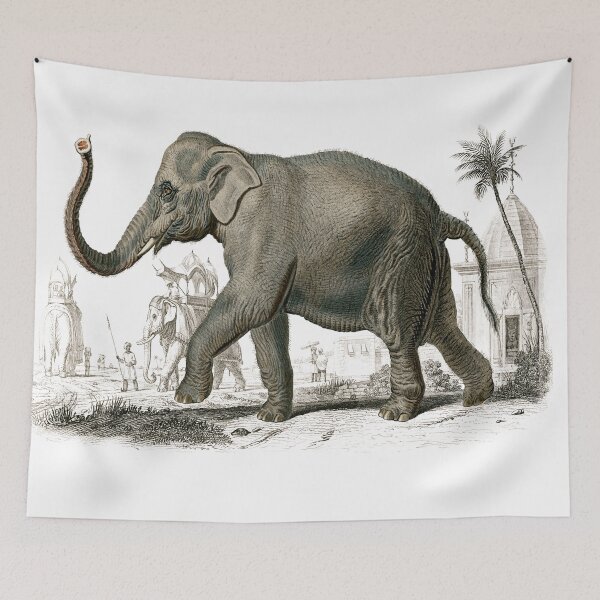 Item preview, Asiatic Elephant By Charles Dessalines D' Orbigny (1806-1876). designed and sold by SidhuKeet1.
