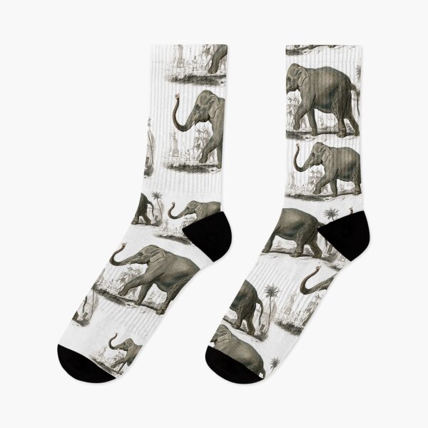 Item preview, Asiatic Elephant By Charles Dessalines D' Orbigny (1806-1876). designed and sold by SidhuKeet1.