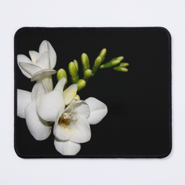 Item preview, Freesia on black...#2 designed and sold by Linda Bianic.