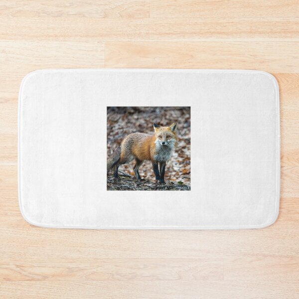 Item preview, Red Fox designed and sold by Dalton Flowers.