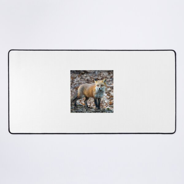 Item preview, Red Fox designed and sold by Dalton Flowers.