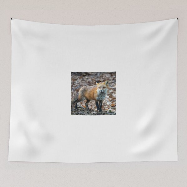 Item preview, Red Fox designed and sold by Dalton Flowers.