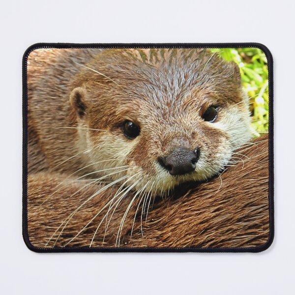 Item preview, Contemplating Little Baby Otter  designed and sold by Losthorsedesign.