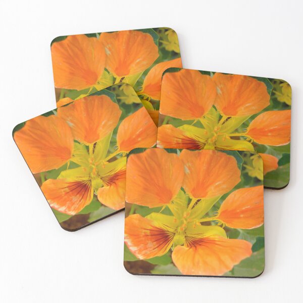 Item preview, Nasturtium designed and sold by Shulie1.