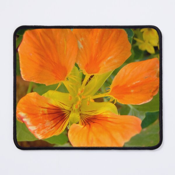 Item preview, Nasturtium designed and sold by Shulie1.