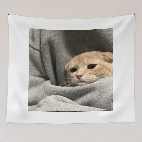 Item preview, sad cute cat | kawaii cat designed and sold by jassine11.