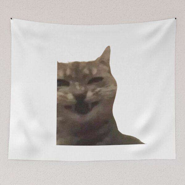 Item preview, cat laughing meme designed and sold by jassine11.