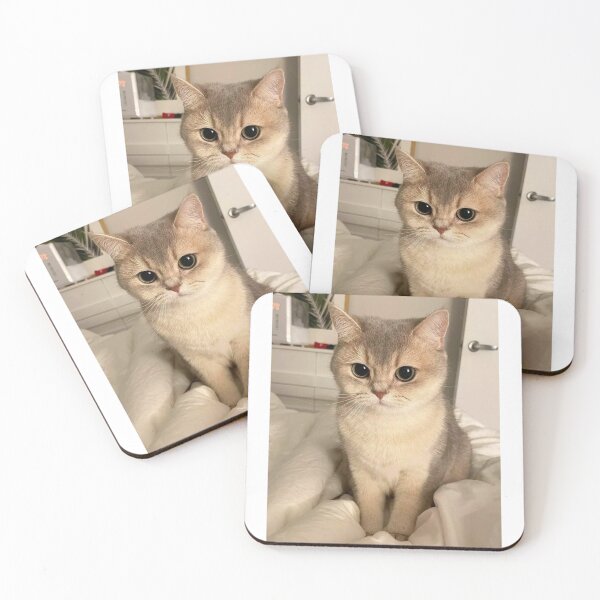 Item preview, Copy of sad cute cat | kawaii cat designed and sold by jassine11.