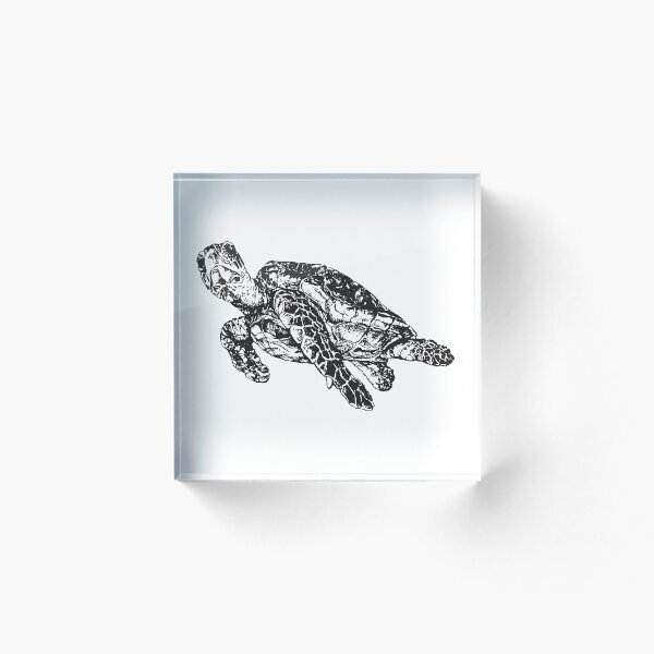 Item preview, Tortuga designed and sold by Visual12.