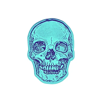 Artwork thumbnail, Skull by AlexLab