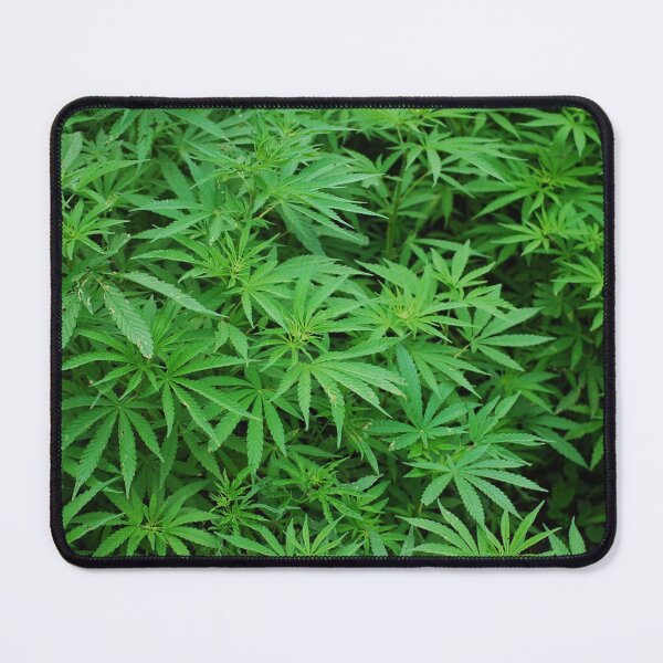 Item preview, Cannabis Marijuana Leaf Jungle Forest designed and sold by IMPHives.