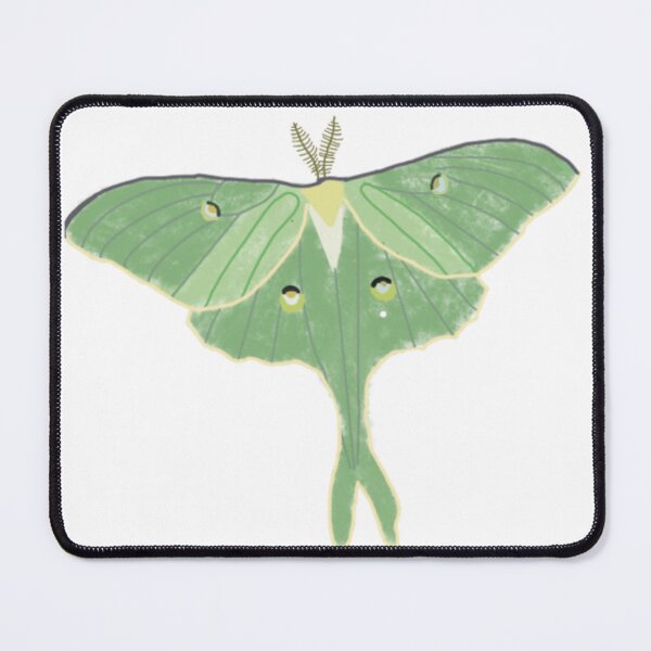 Item preview, Lunar moth drawing designed and sold by BlueFireFerrets.