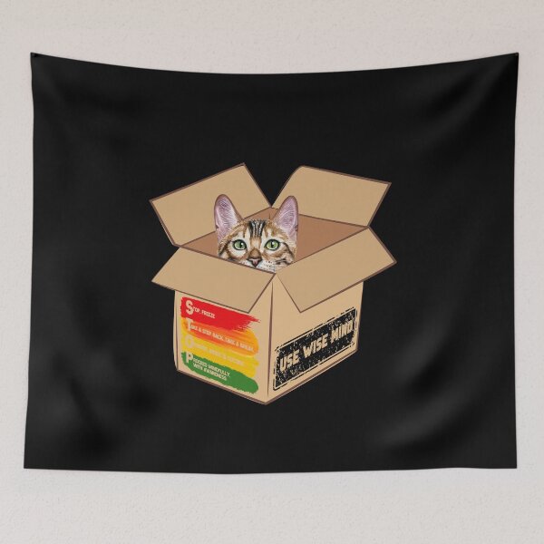 Item preview, Cat in a Box Collection. STOP Technique for coping with confronting situations - your feelings are valid, get grounded, use wise mind. designed and sold by Wise-Cats.