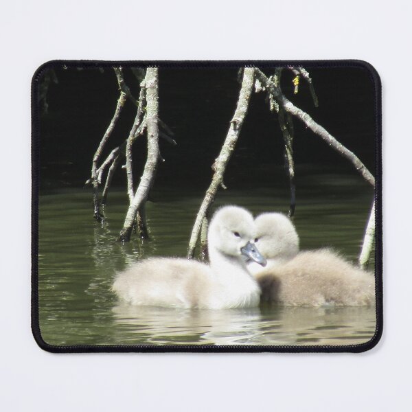 Item preview, Cute baby swans designed and sold by joshuarainbird.