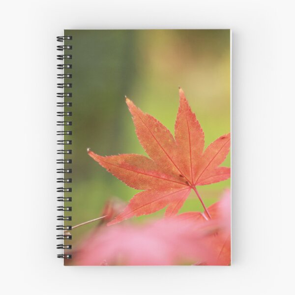 Item preview, The perfect leaf designed and sold by miradorpictures.