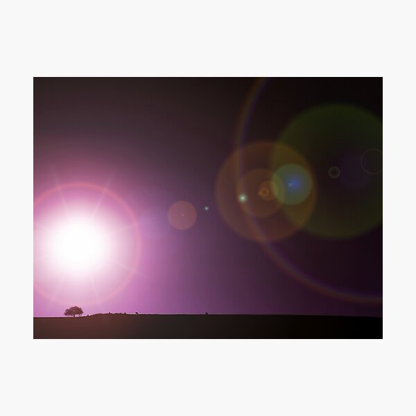 Just Like Heaven Photographic Print
