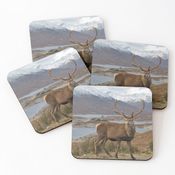 Item preview, Red Deer Stag in Highland Scotland designed and sold by derekbeattie.