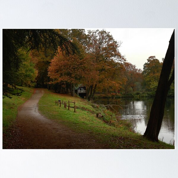 Item preview, Paths of autumn designed and sold by miradorpictures.