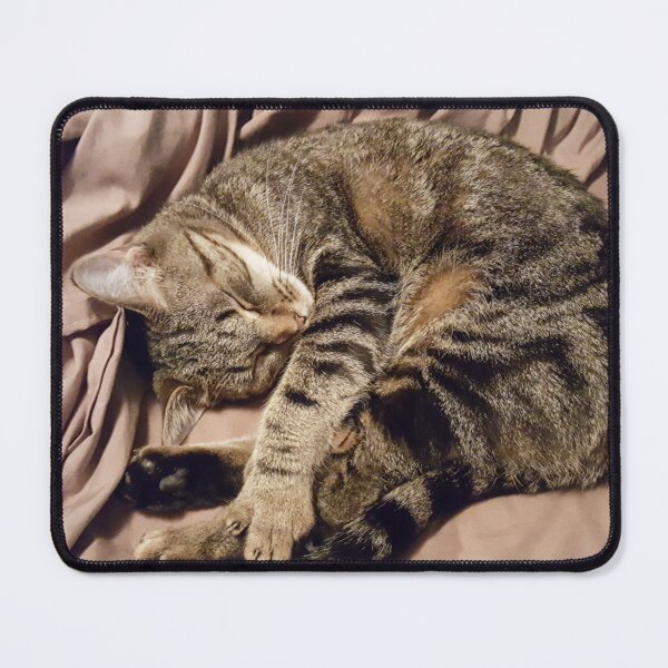 Item preview, TK, a.k.a. Tiny Kitty designed and sold by Richard Nix.