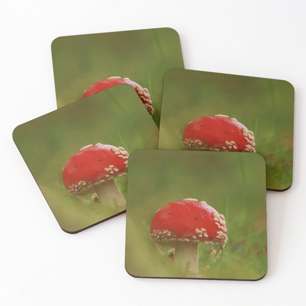 Item preview, Fantastic fungi designed and sold by miradorpictures.