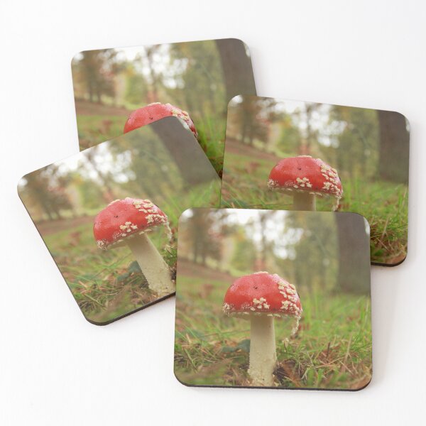 Item preview, Fruiting fungi designed and sold by miradorpictures.