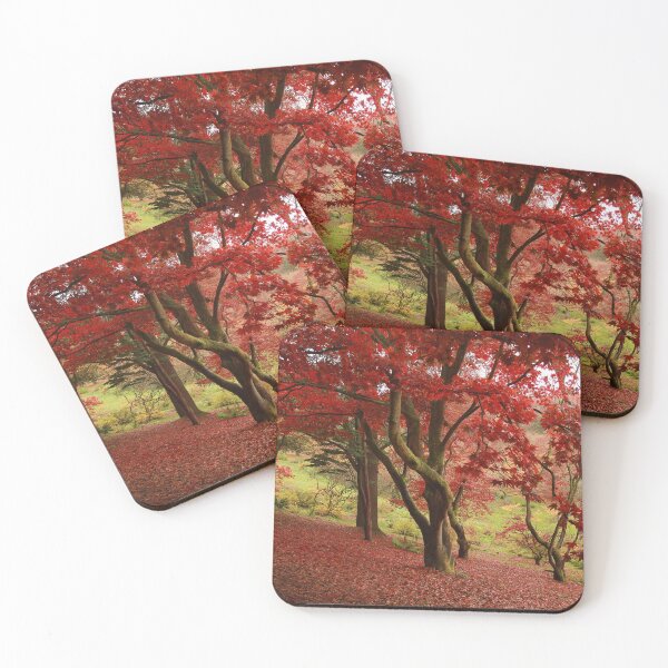 Item preview, Amazing acers designed and sold by miradorpictures.