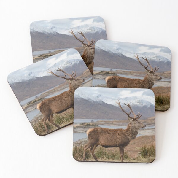 Item preview, Red Deer Stag in Scottish Highlands designed and sold by derekbeattie.