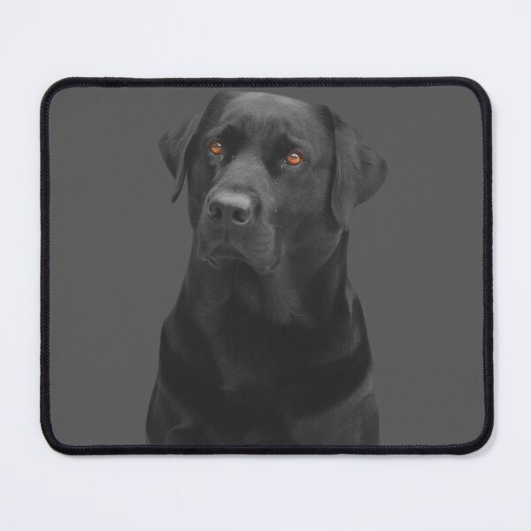 Item preview, Labrador retriever designed and sold by NewestNormal.