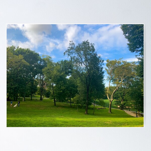 Item preview, Central Park, Manhattan, New York City  designed and sold by eleonoraingrid.
