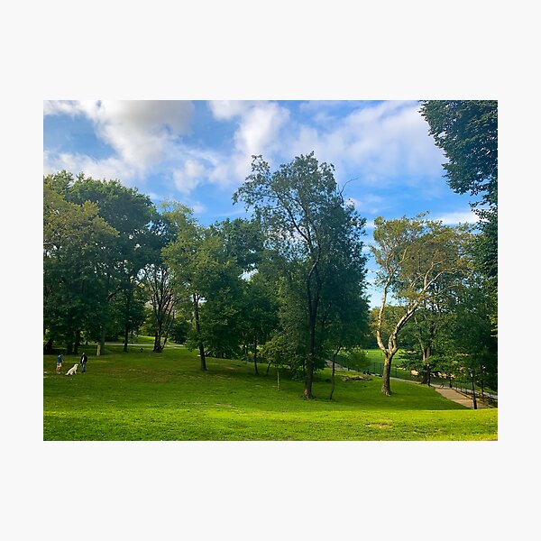 Item preview, Central Park, Manhattan, New York City  designed and sold by eleonoraingrid.