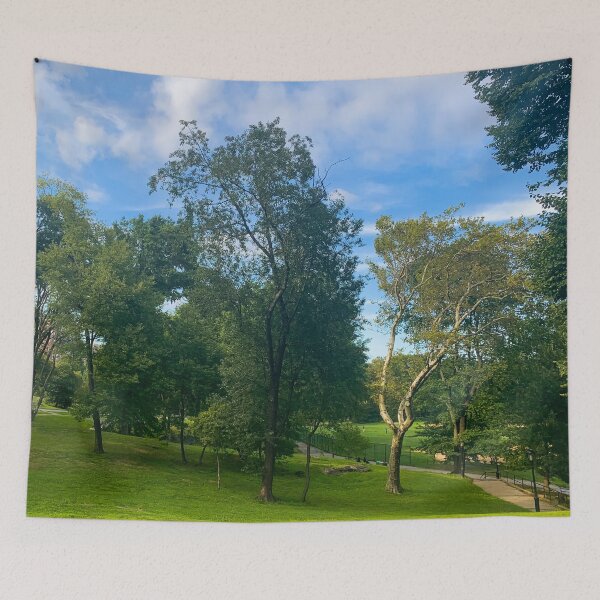 Item preview, Central Park, Manhattan, New York City  designed and sold by eleonoraingrid.