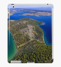 Mir iPad Case/Skin